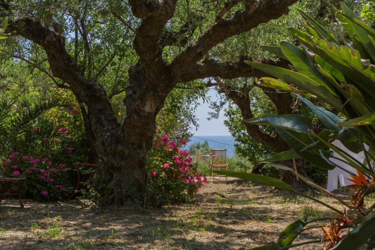 Villa Anta House By The Sea Lithakia  Luaran gambar